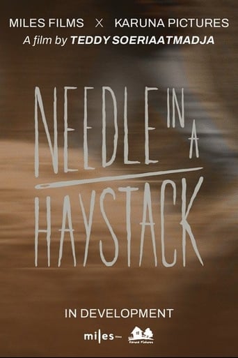 Poster of Needle In A Haystack