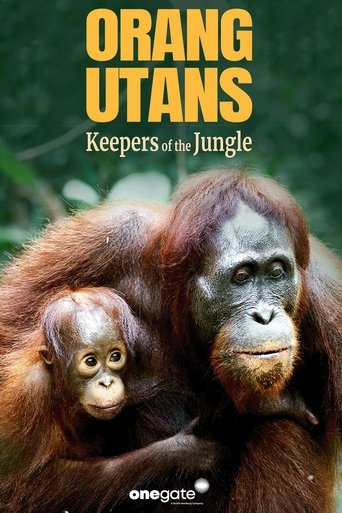 Poster of Orang Utans - Keepers of the Jungle