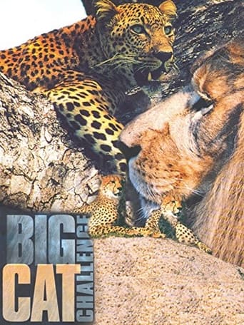 Poster of Big Cat Challenge