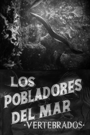 Poster of Pobladores del mar: Los vertebrados