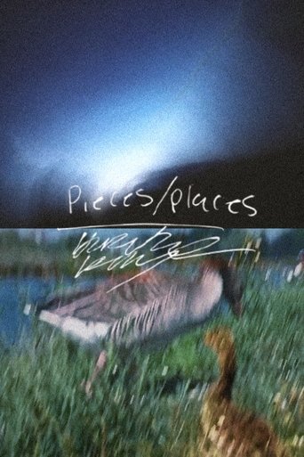 Poster of Pieces/Places