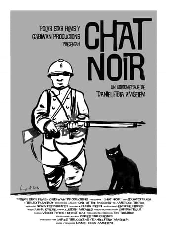 Poster of Chat noir