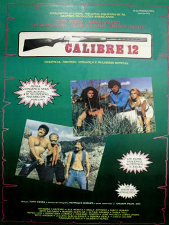 Poster of Calibre 12