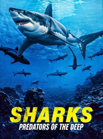 Poster of Sharks: Predators of the Deep