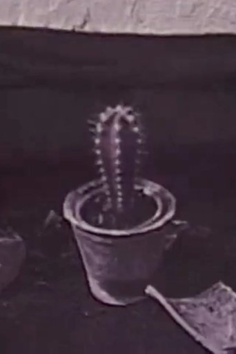 Cactus Poster of Cactus