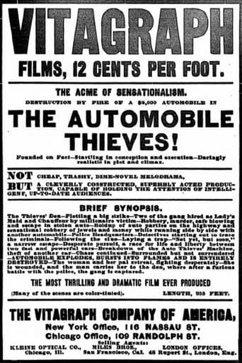 Poster of The Automobile Thieves