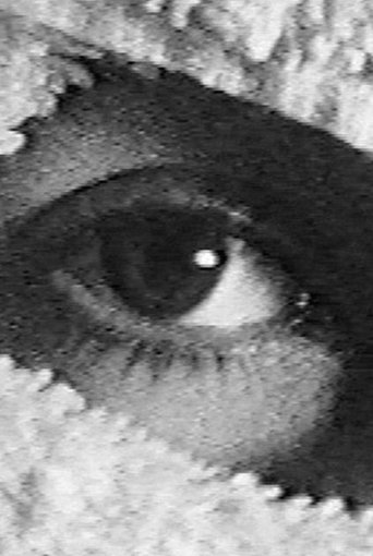 Poster of Pneurosis (en el baño)
