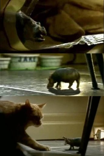 Poster of North American House Hippo