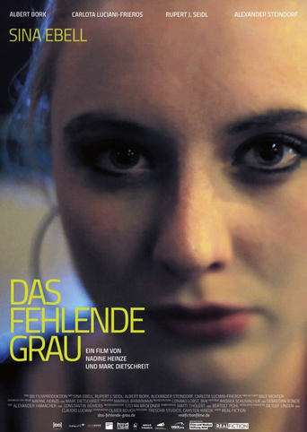 Poster of Das fehlende Grau