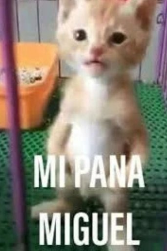 Poster of Mi Pana Miguel: La Película