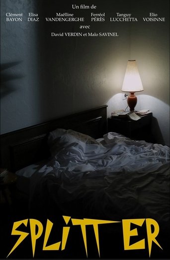 Poster of Splitter
