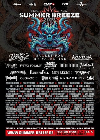 Poster of Subway To Sally: Live at Summer Breeze 2019