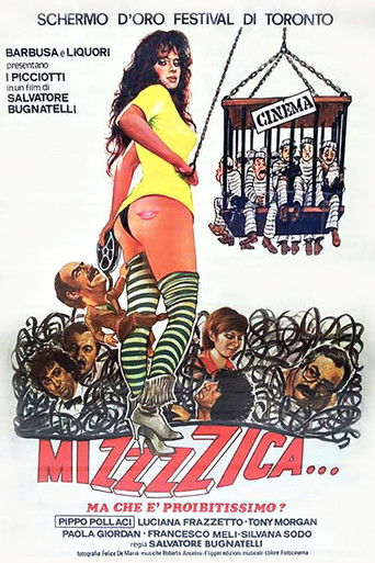 Poster of Mizzzzica... ma che è proibitissimo?