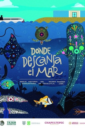 Poster of Donde descansa el mar: Breve historia del Museo Marino Comunitario de Tecolutla
