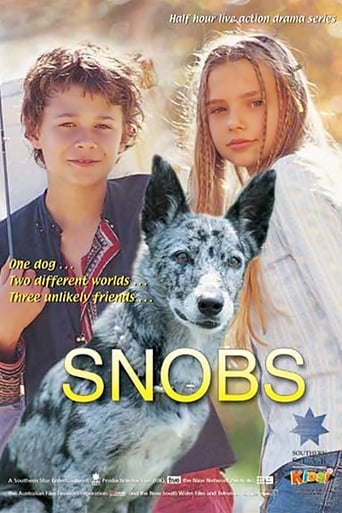 Poster of Snobs