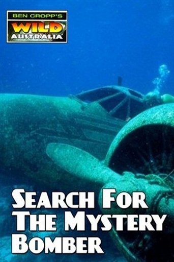Poster of Search for the Mystery Bomber