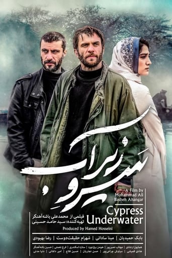 Poster of Cypress Under Water