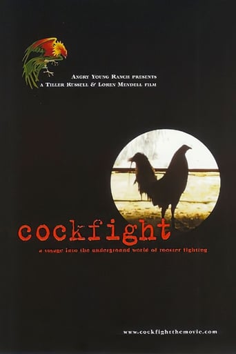 Poster of Cockfight