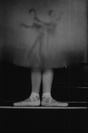 Poster of The Body of the City