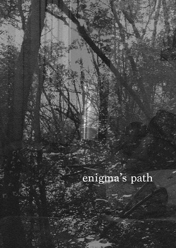 Poster of Enigma's Path