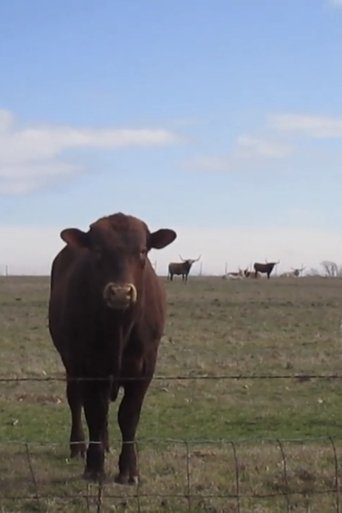 Poster of Cow Four Minutes