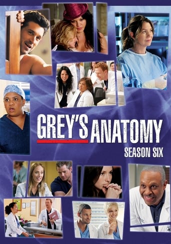 Portrait for Grey's Anatomy - Season 6