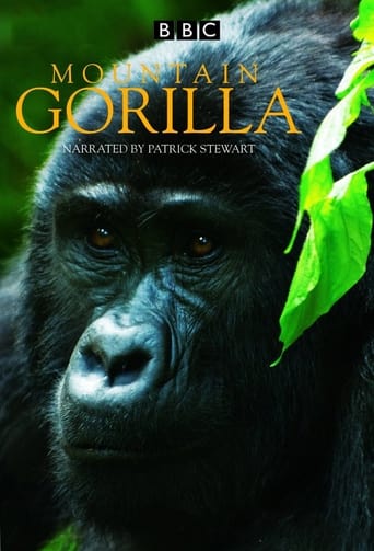 Poster of Mountain Gorilla