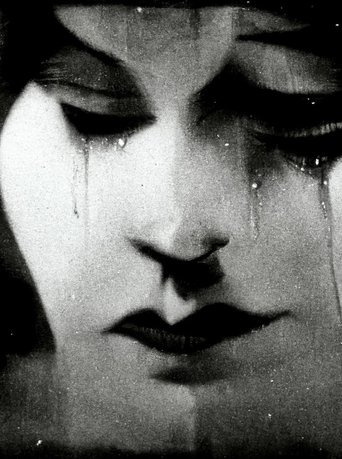 Poster of The Stolen MooM