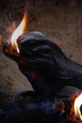 Poster of Blacklands