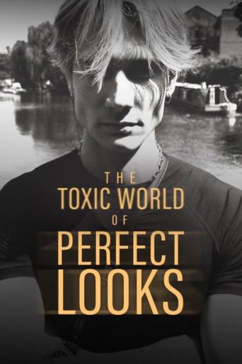 Poster of The Toxic World Of Perfect Looks