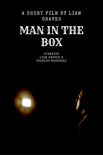 Poster of Man in The Box