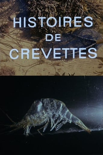 Poster of Shrimp Stories