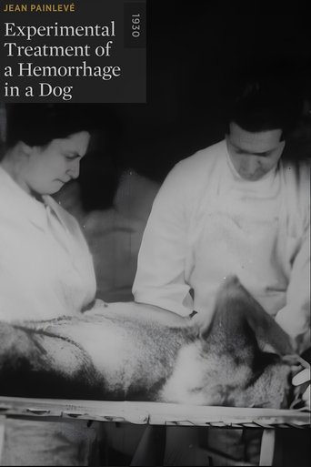 Poster of Experimental Treatment of a Hemorrhage in a Dog