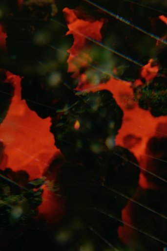 Poster of The Visitation