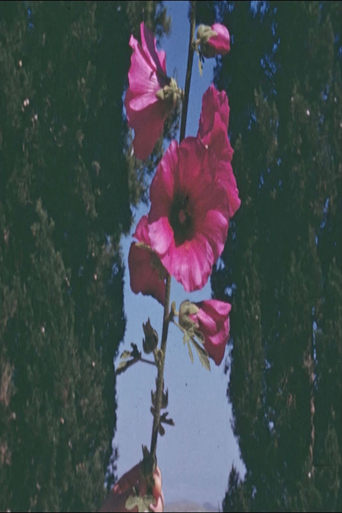 Poster of The Flowers Stand Silently, Witnessing