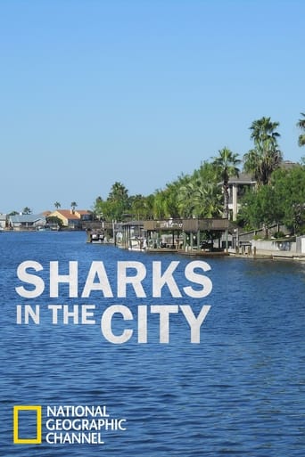 Poster of Sharks in the City: Bull Sharks in the Backyard