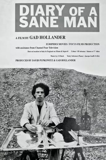 Poster of Diary of a Sane Man