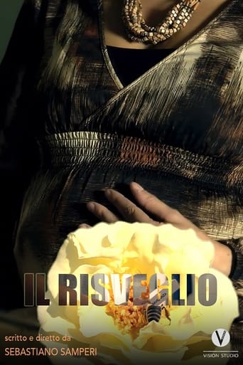 Poster of Il risveglio