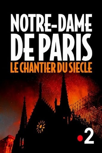 Poster of Notre-Dame de Paris, le chantier du siècle