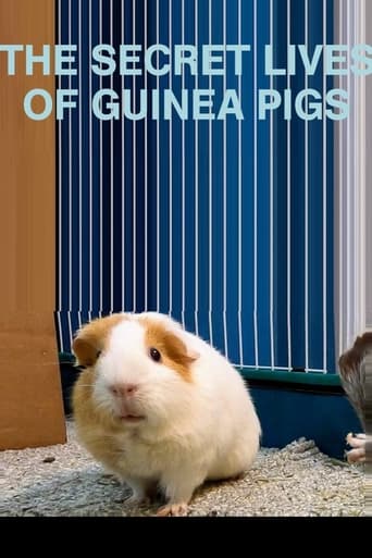 Poster of The Secret Lives of Guinea Pigs