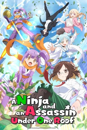 Poster of A Ninja and an Assassin Under One Roof