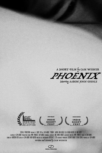 Poster of Phoenix