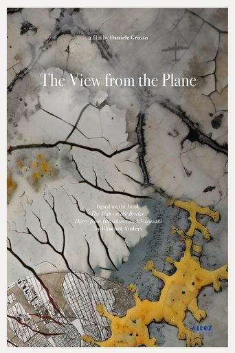 Poster of The View from the Plane