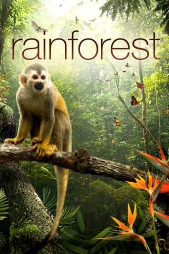 Poster of Secret Life of the Rainforest