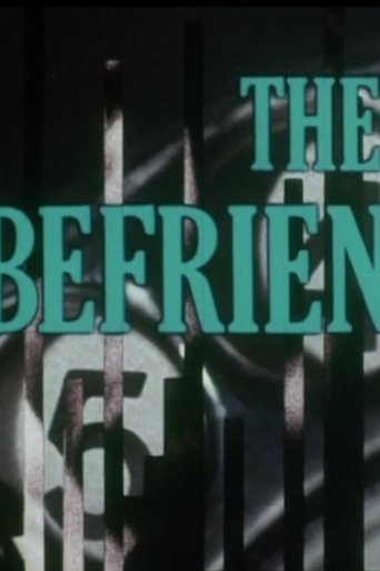 Poster of The Befrienders