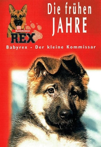 Poster of Baby Rex