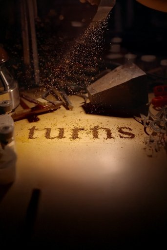 Poster of Turns