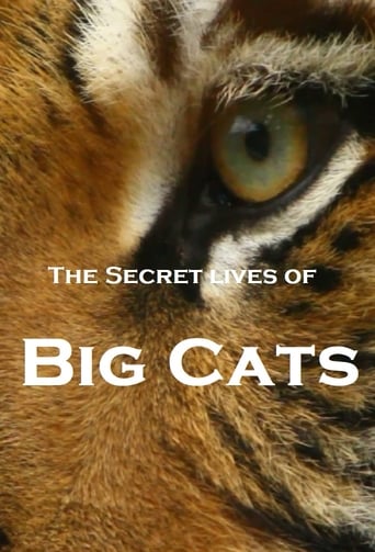 Poster of The Secret Lives Of Big Cats