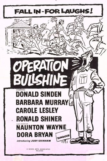 Poster of Operation Bullshine