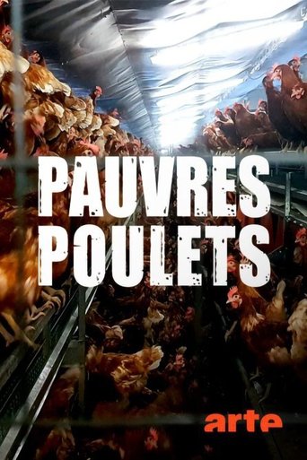 Poster of Armes Huhn – armer Mensch